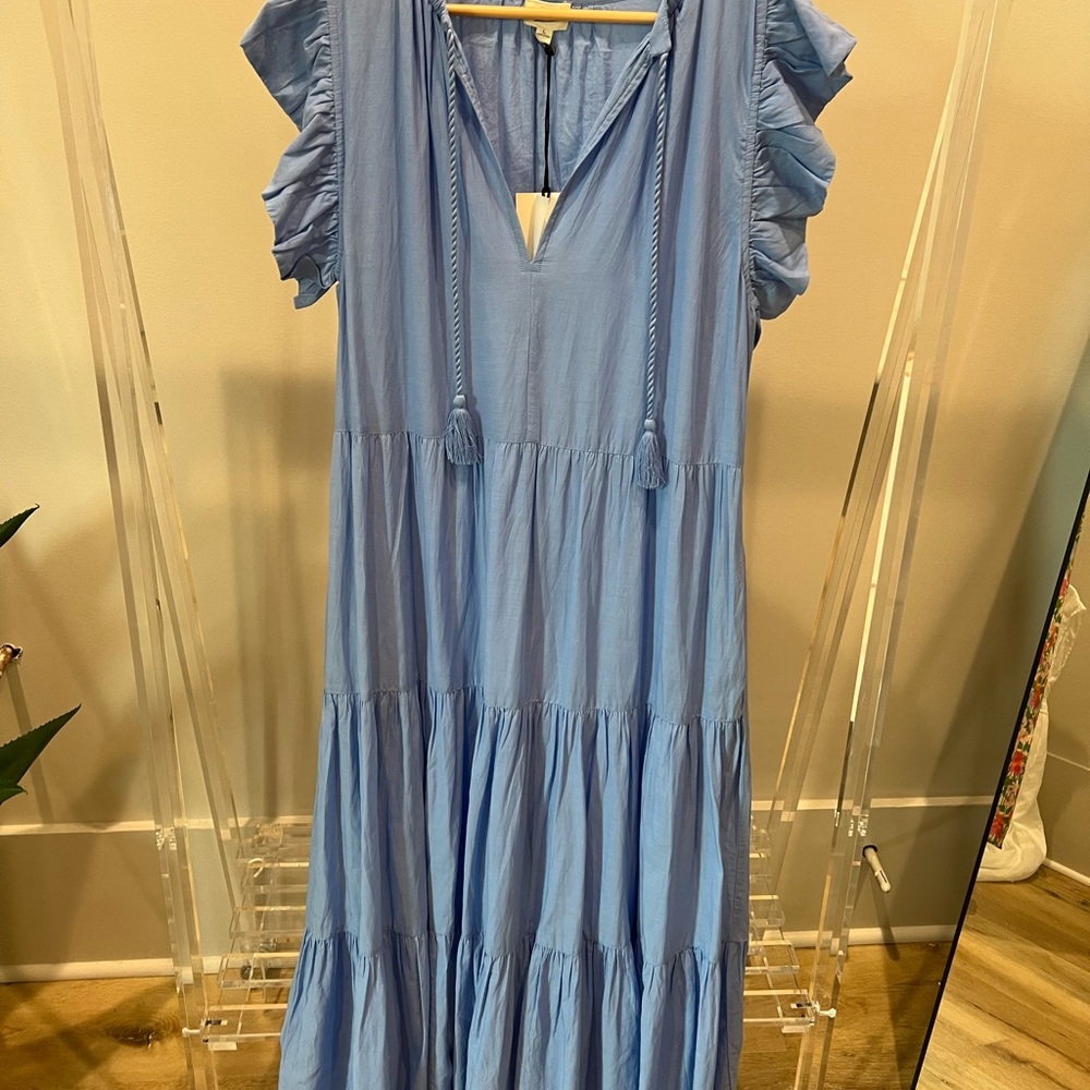 Elan Sky Blue Maxi Dress with Ruffle Sleeves
